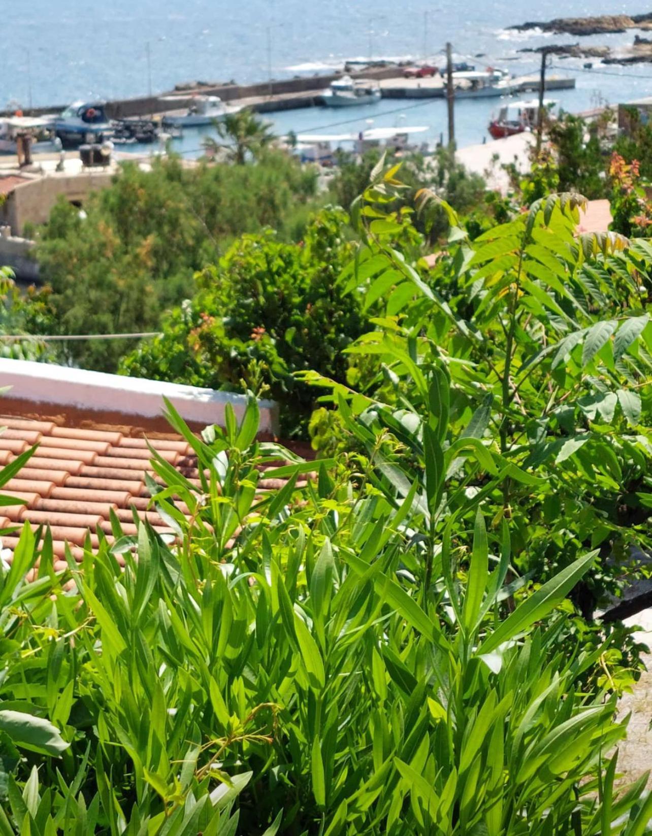 Villas Vista Del Mar Kíssamos Dış mekan fotoğraf