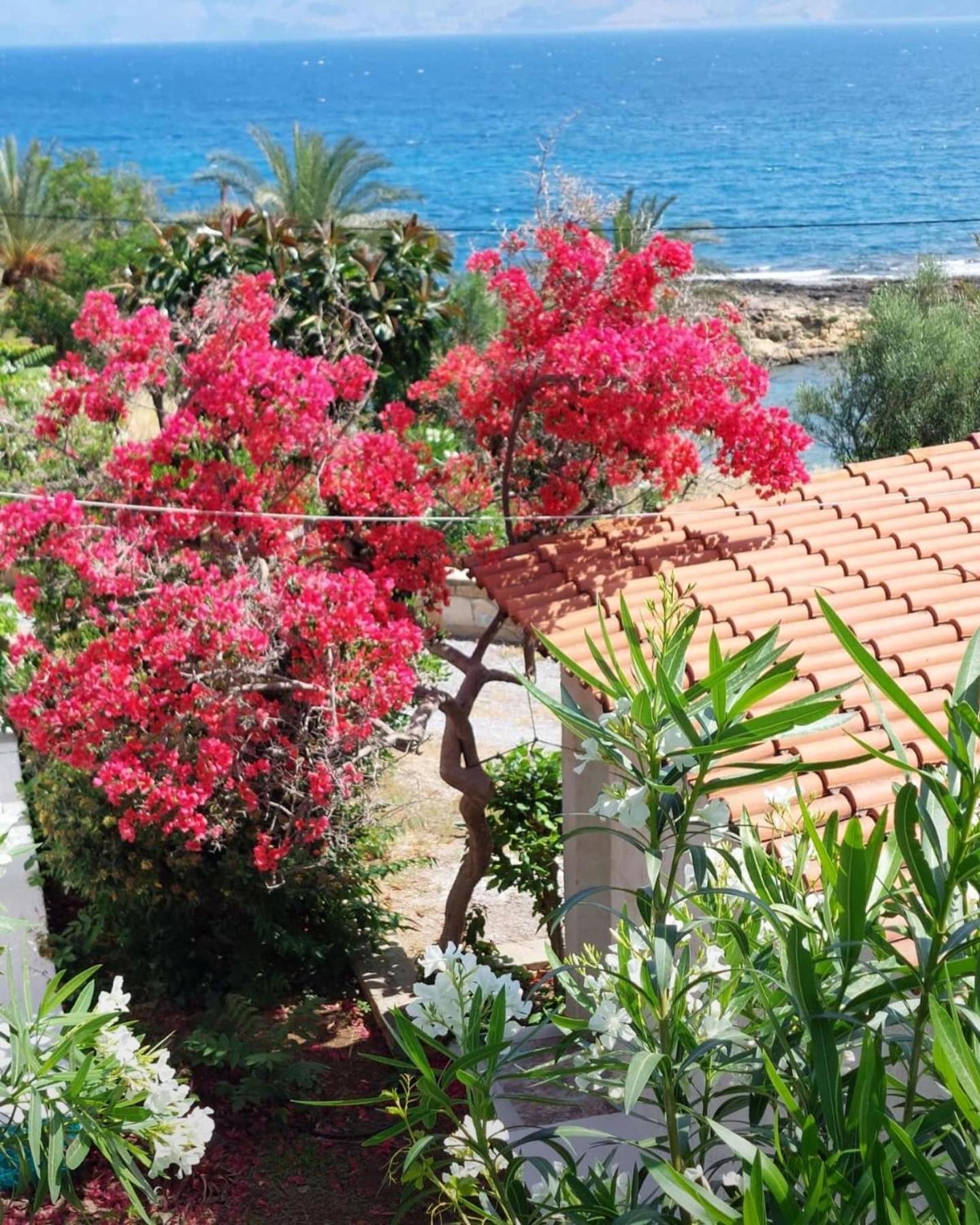 Villas Vista Del Mar Kíssamos Dış mekan fotoğraf